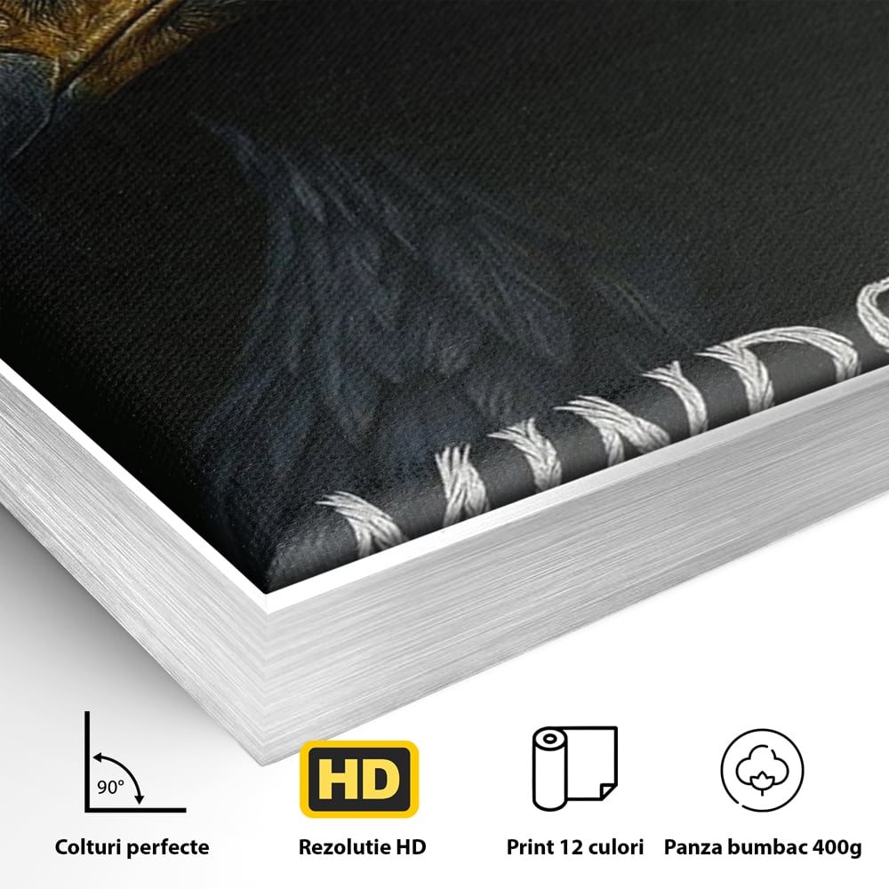 Detaliu al suprafetei: tablou canvas cu vultur si mesaj, in rama de aluminiu argintiu